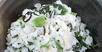 しろ菜とじゃこの混ぜごはん